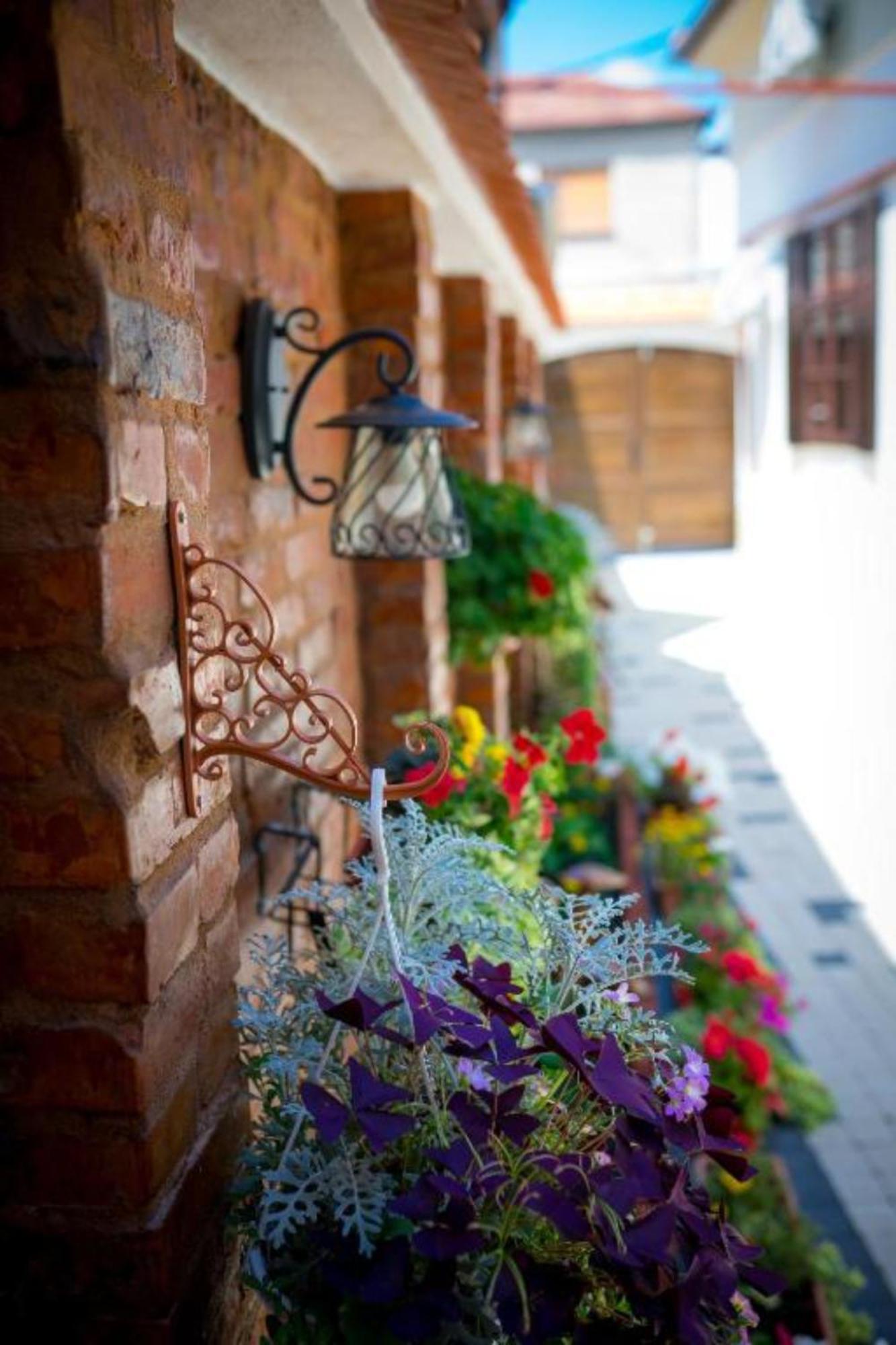 Cochet House Sibiu Apart otel Dış mekan fotoğraf
